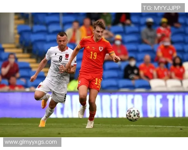 帕尼尼世界杯足球球星卡收藏价值解析及市场趋势探讨 帕尼尼世界杯足球球星卡收藏价值解析及市场趋势探讨