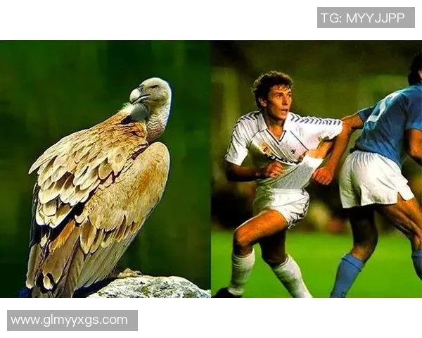 足球巨星外号盘点 揭秘球员背后那些有趣的绰号与故事 足球巨星外号盘点 揭秘球员背后那些有趣的绰号与故事